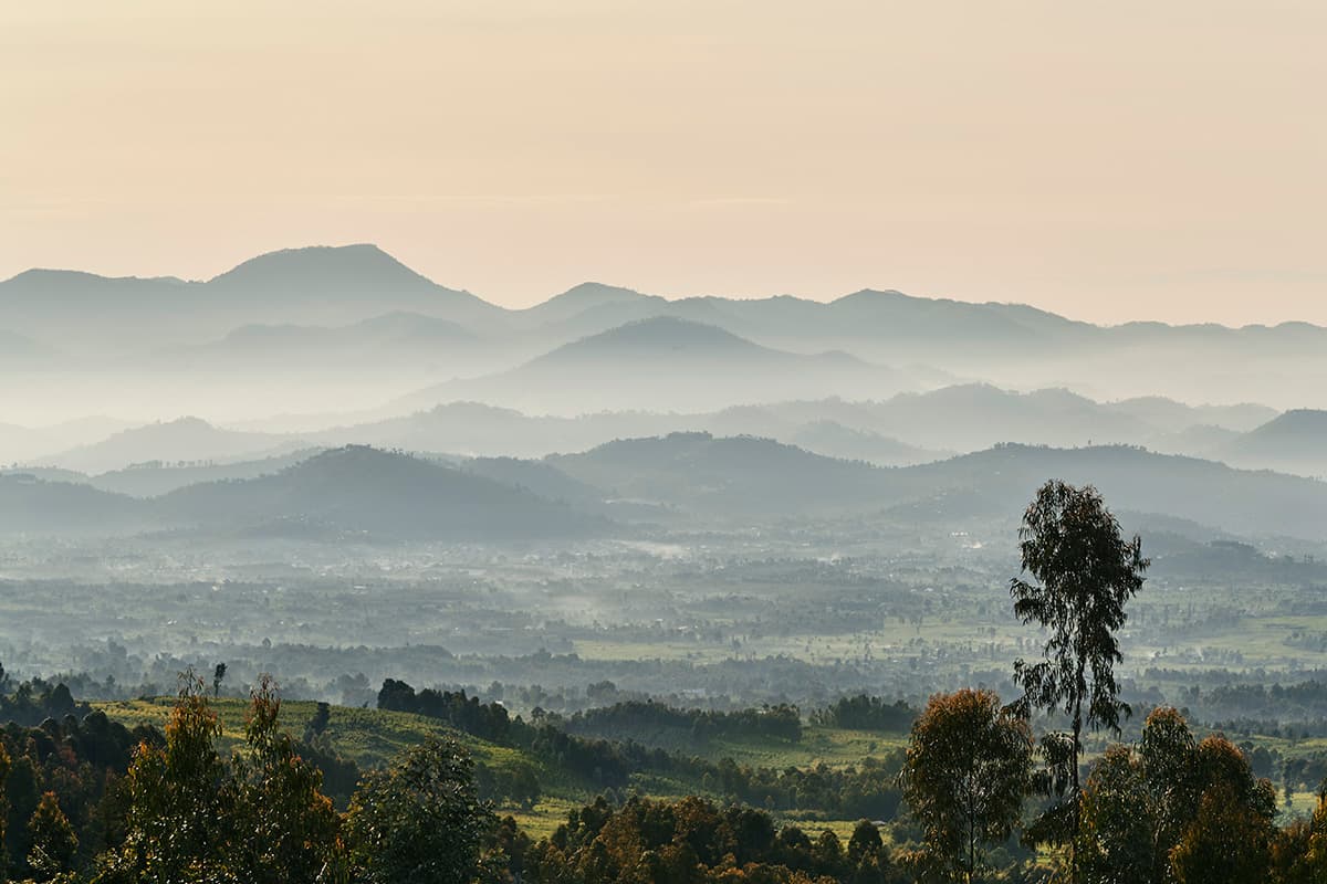 WILD RWANDA